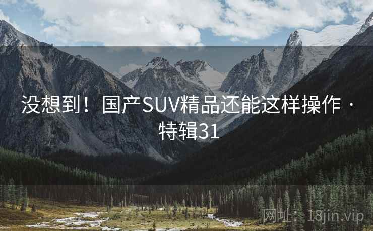 没想到！国产SUV精品还能这样操作 · 特辑31